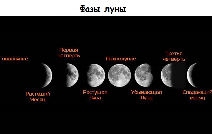 kak-opredelit-blagopriyatnyj-den-dlya-strizhki-2