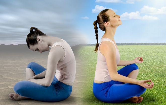Fresh meditation