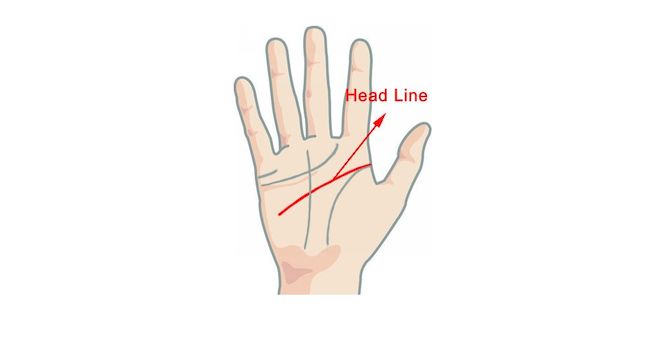 osnovnye-linii-ladoni-3