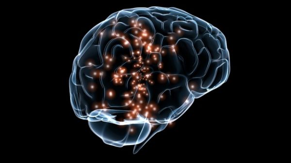 Brain-650x365